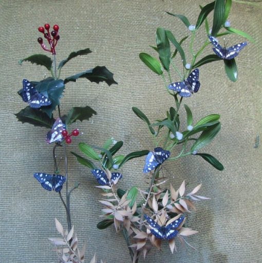 Limentis reducta