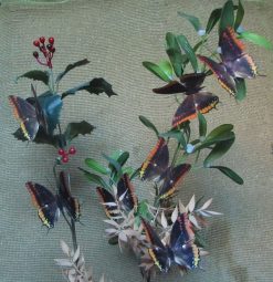 Charaxes jasius
