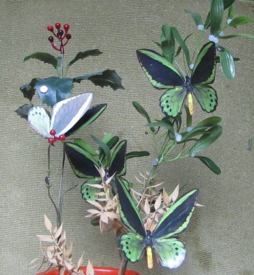 Ornithoptera priamus