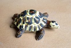 Tartaruga bomboniera 1