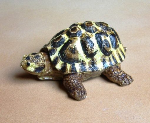 Tartaruga bomboniera 2
