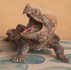 Tartaruga Alligatore in scultura da collezione