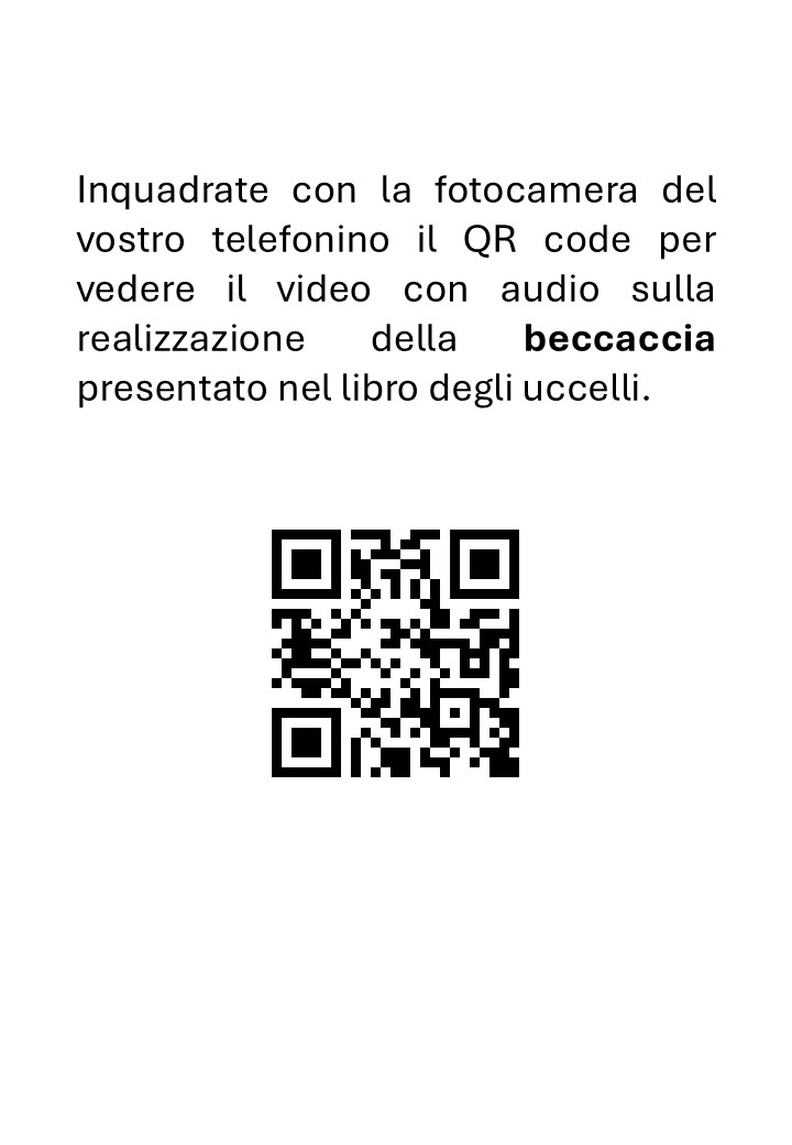 Tassidermia: Preparazione di una beccaccia - immagine 3