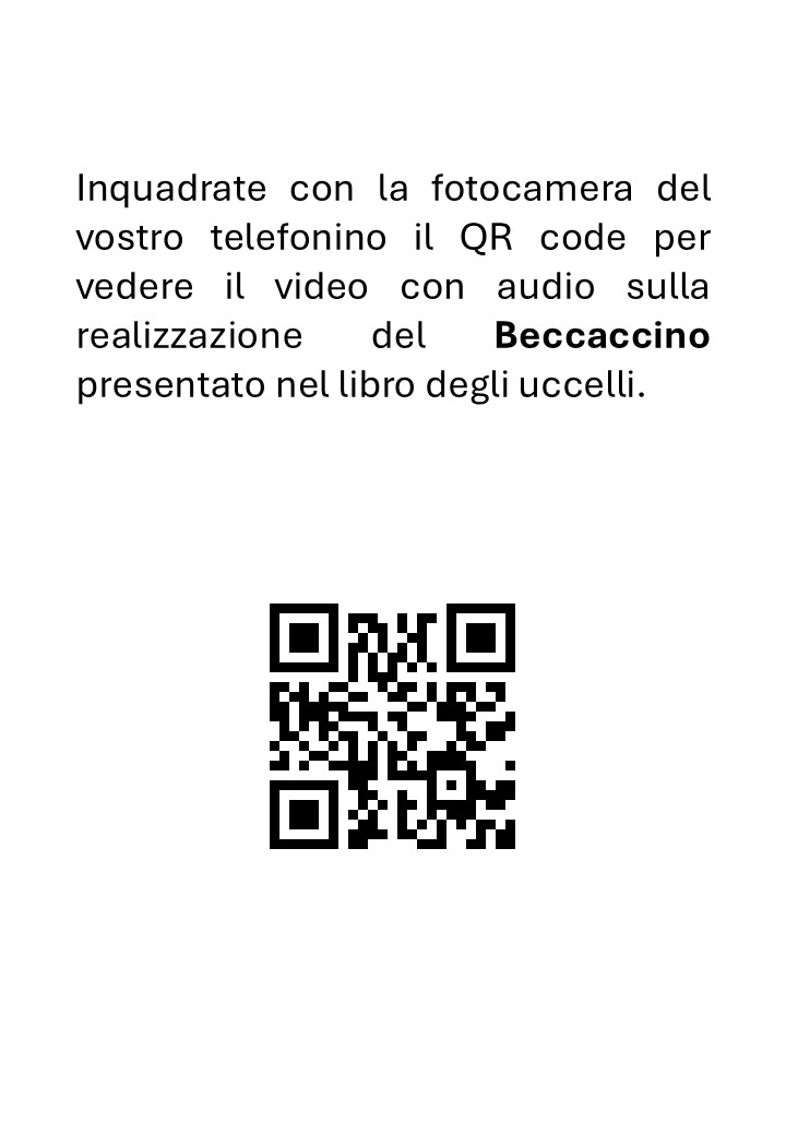 Tassidermia: nozioni e tecniche Uccelli - Preparazione di un beccaccino - immagine 3