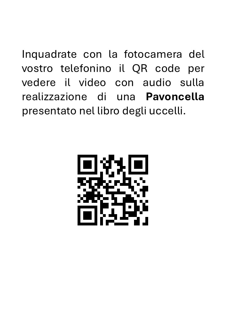 Tassidermia Preparazione di una Pavoncella - immagine 3