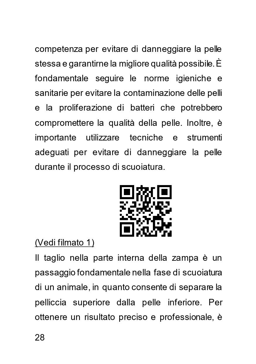 Tassidermia Pellicciaio come conciare una pelle di volpe - immagine 2