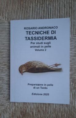 Tassidermia Preparazione in pelle di un Tordo (Edizione 2025)