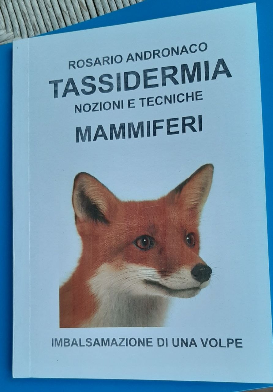 Tassidermia Mammiferi imbalsamazione di una volpe