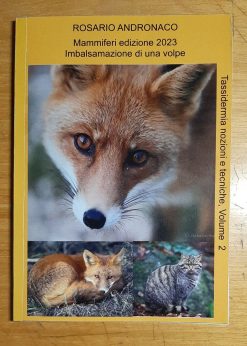Tassidermia Mammiferi imbalsamazione di una volpe (Edizione 2024)