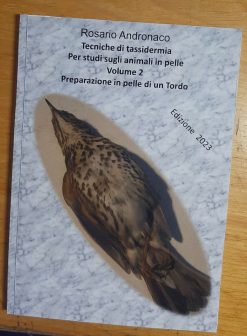 Tassidermia Preparazione in pelle di un Tordo (Edizione 2023)