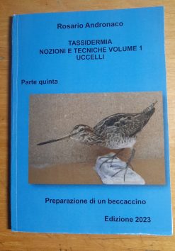 Tassidermia: nozioni e tecniche Uccelli - Preparazione di un beccaccino (Edizione 2023)