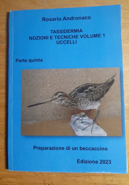 Tassidermia: nozioni e tecniche Uccelli - Preparazione di un beccaccino (Edizione 2023)