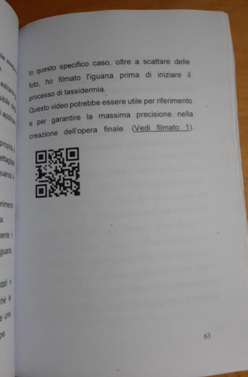 Tassidermia Rettili Preparazione di una Iguana (Edizione 2024) - immagine 2