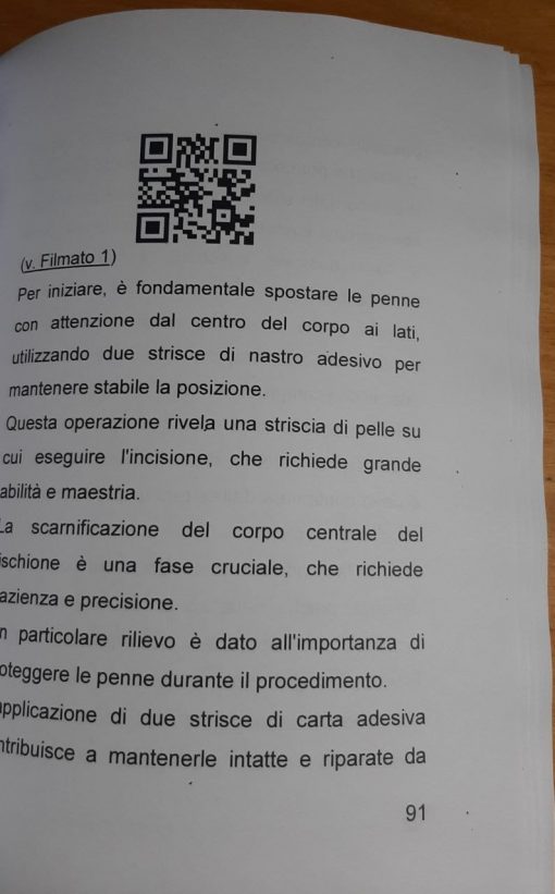 Tassidermia Preparazione di un Fischione (Edizione 2024) - immagine 3