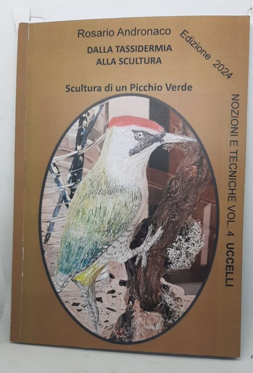 Tassidermia e scultura Preparazione di un picchio verde (Edizione 2024)