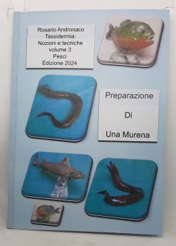 Tassidermia Pesci Preparazione di una Murena (Edizione 2024)