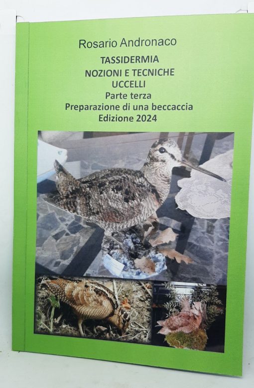Tassidermia: nozioni e tecniche Uccelli - Preparazione di una beccaccia (Edizione 2024)