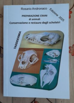 Preparazione Crani di animali (Edizione 2025)