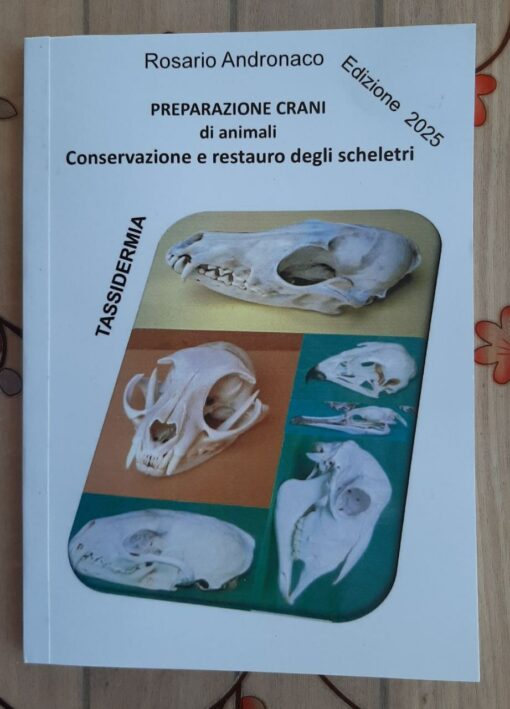 Preparazione Crani di animali (Edizione 2025)