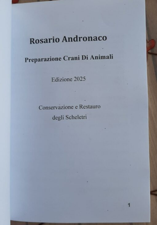 Preparazione Crani di animali (Edizione 2025) - immagine 3