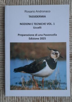 Tassidermia Preparazione di una Pavoncella (Edizione 2025)
