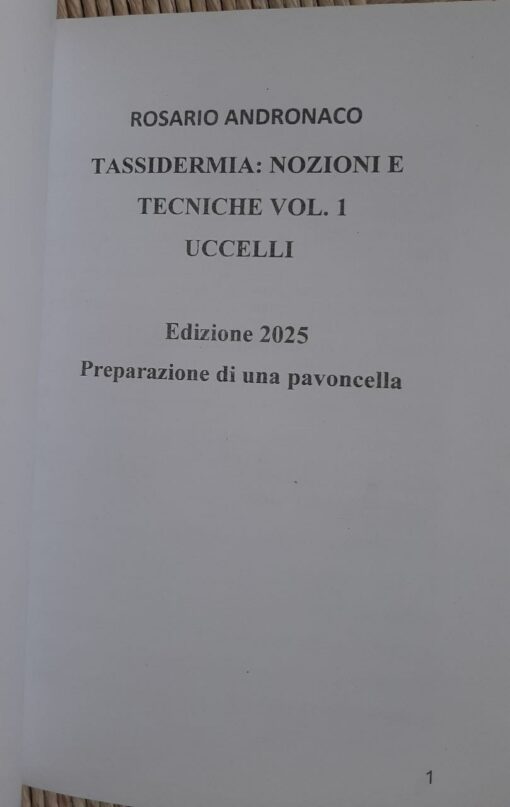 Tassidermia Preparazione di una Pavoncella (Edizione 2025) - immagine 3