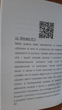 Alternative view of Tassidermia Mammiferi imbalsamazione di una volpe (Edizione 2025)