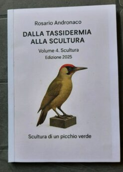 Tassidermia e scultura Preparazione di un picchio verde (Edizione 2025)