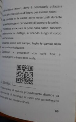 Alternative view of Tassidermia Preparazione in pelle di un Tordo (Edizione 2025)