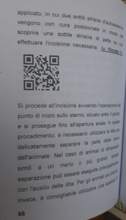 Alternative view of Tassidermia Preparazione in pelle di un merlo