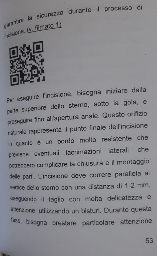 Tassidermia Preparazione di una Pavoncella - immagine 2