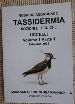 Tassidermia Preparazione di una Pavoncella