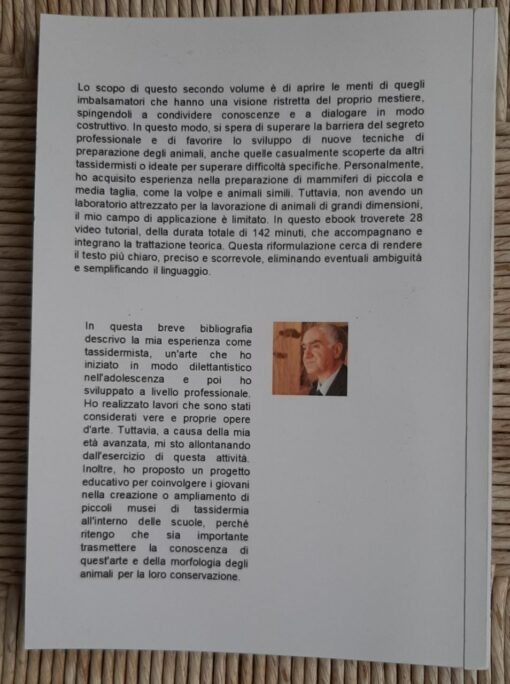 Tassidermia Mammiferi imbalsamazione di una volpe - immagine 3