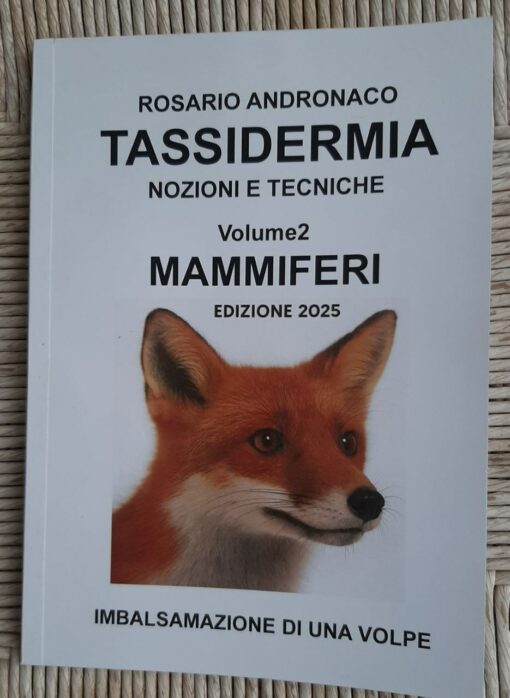 Tassidermia Mammiferi imbalsamazione di una volpe