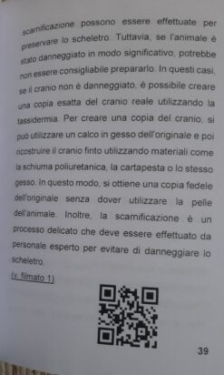 Alternative view of Preparazione Crani di animali