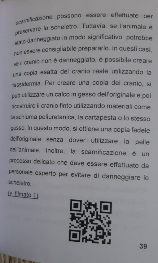 Preparazione Crani di animali - immagine 2