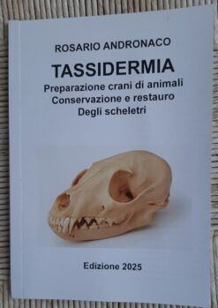 Preparazione Crani di animali