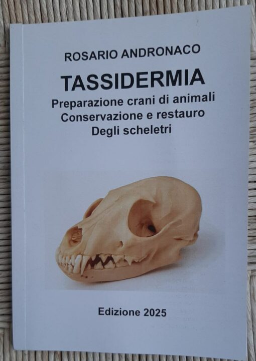 Preparazione Crani di animali