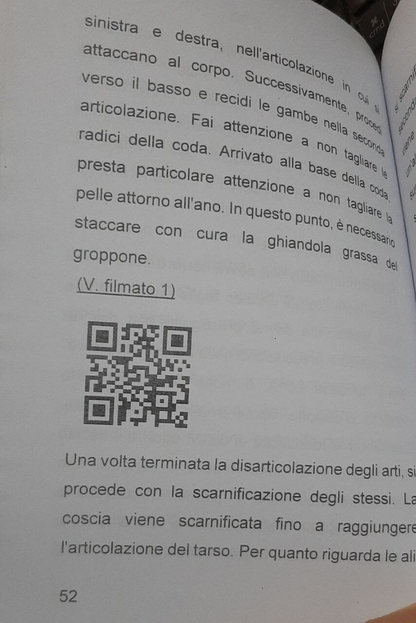 Tassidermia: nozioni e tecniche Uccelli - Preparazione di un beccaccino - immagine 2