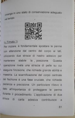 Alternative view of Tassidermia Preparazione di un Fischione