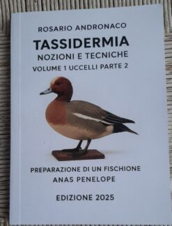 Tassidermia Preparazione di un Fischione