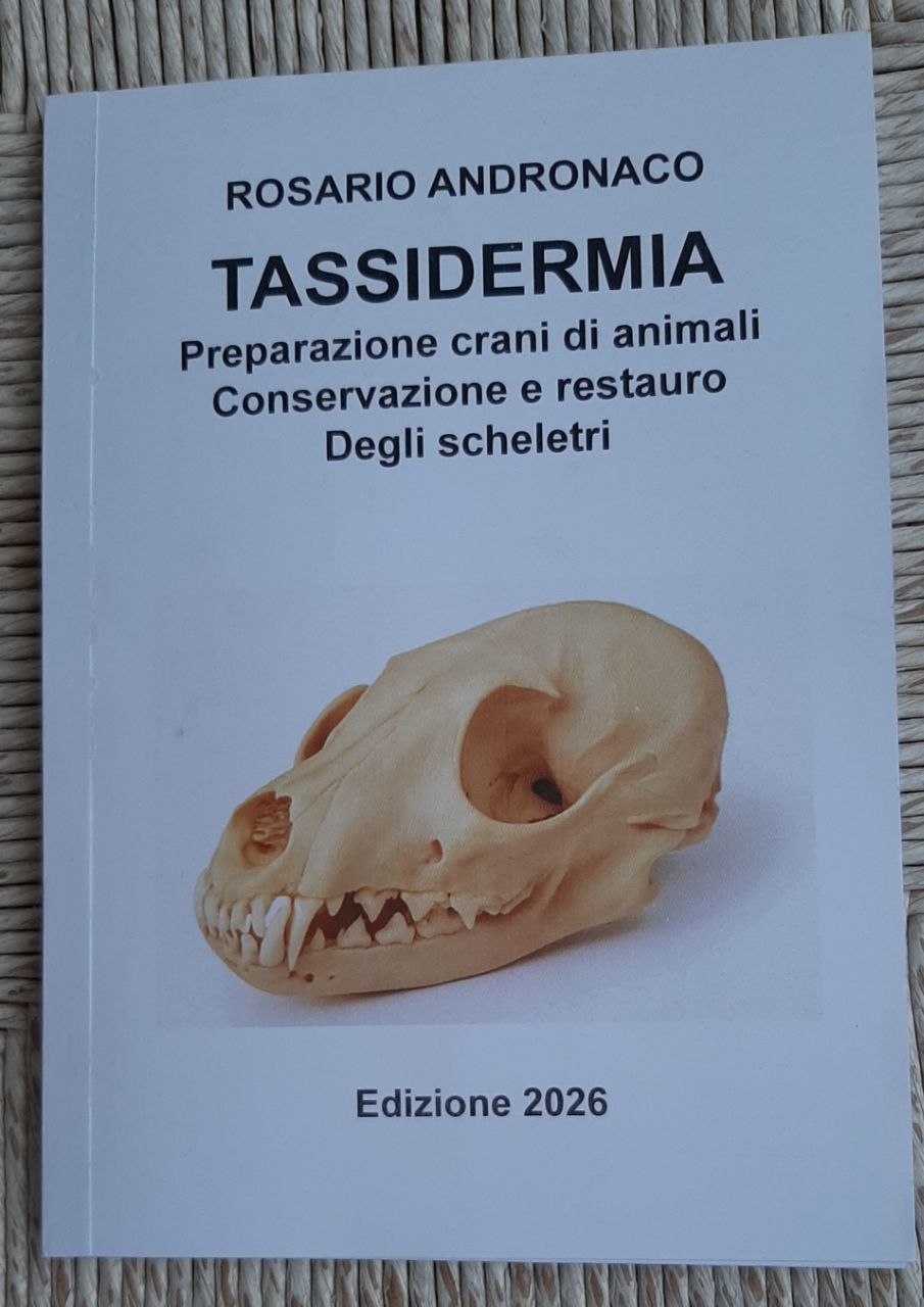 Preparazione Crani di animali