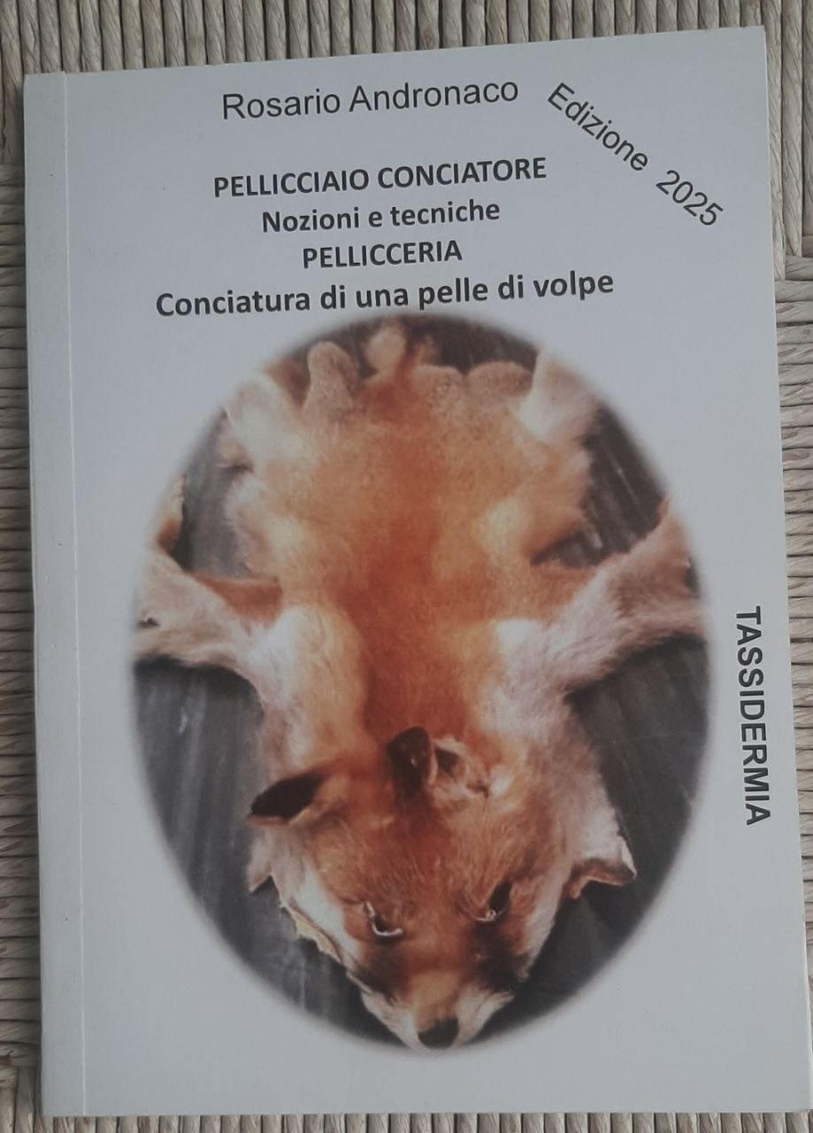 Tassidermia Pellicciaio come conciare una pelle di volpe