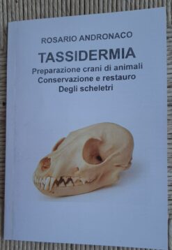 Preparazione Crani di animali