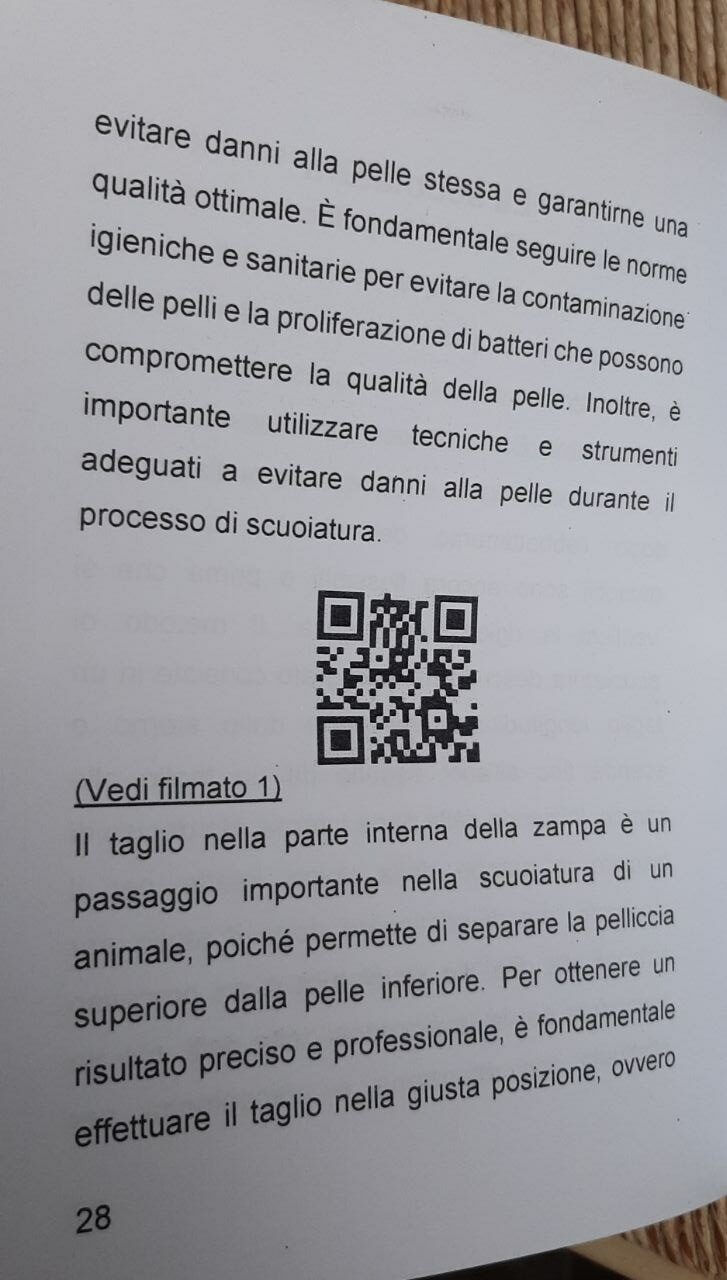 Tassidermia Pellicciaio come conciare una pelle di volpe - immagine 2
