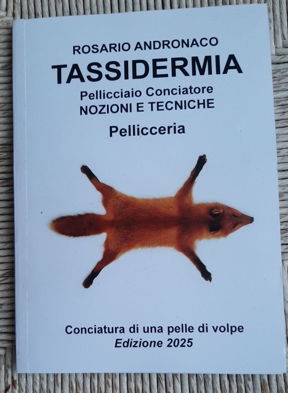 Tassidermia Pellicciaio come conciare una pelle di volpe