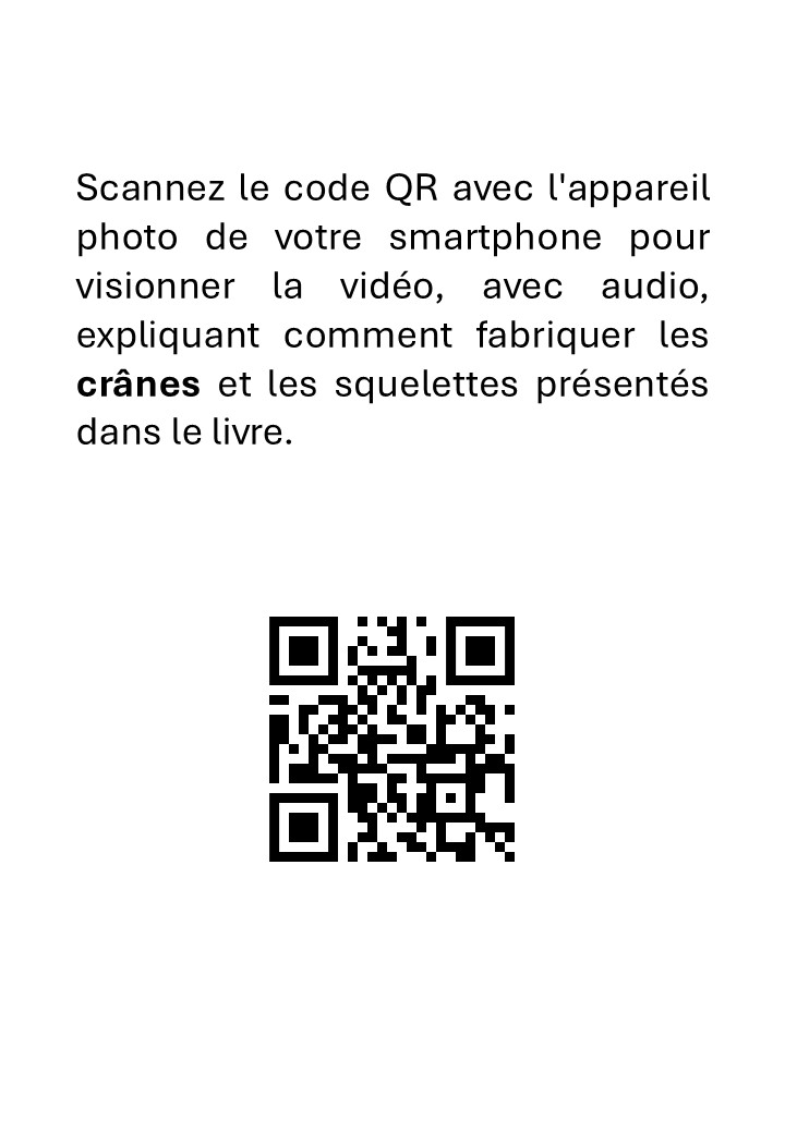 Préparation des crânes d’animaux en français - immagine 3