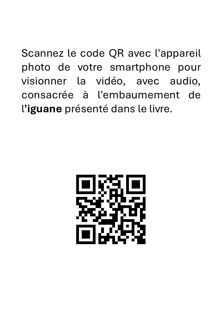 Taxidermie, Reptiles, Préparation d'une Iguane - immagine 3