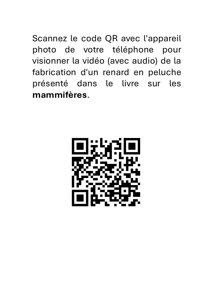 Taxidermie Mammiféres Embaumement d’un renard - immagine 3
