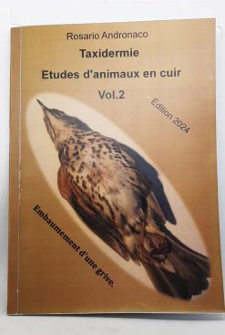 Taxidermie études d‘animaux en cuir Embaumement d’une grive èdition 2024 Vol. 1